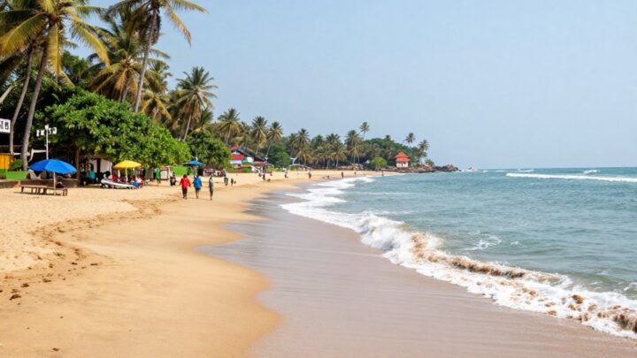 Negombo Sri Lanka: Ihr Reiseführer für den Besuch