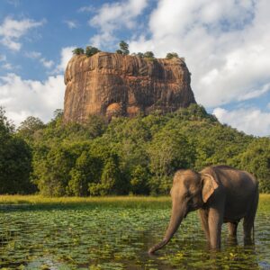 1 Woche Rundreisen Sri Lanka: UNESCO-Stätten, Safari & Löwenfelsen Unkategorisiert online kaufen 1 Woche Rundreisen Sri Lanka: UNESCO-Stätten, Safari & Löwenfelsen Unkategorisiert online kaufen